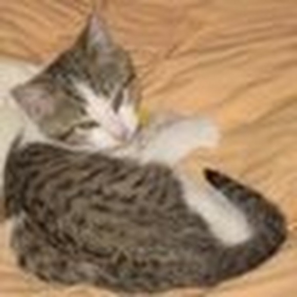 Meet your Posher, Liza - Picture 1 of 1